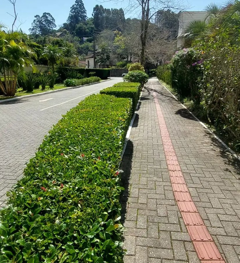 projeto de jardinagem e paisagismo