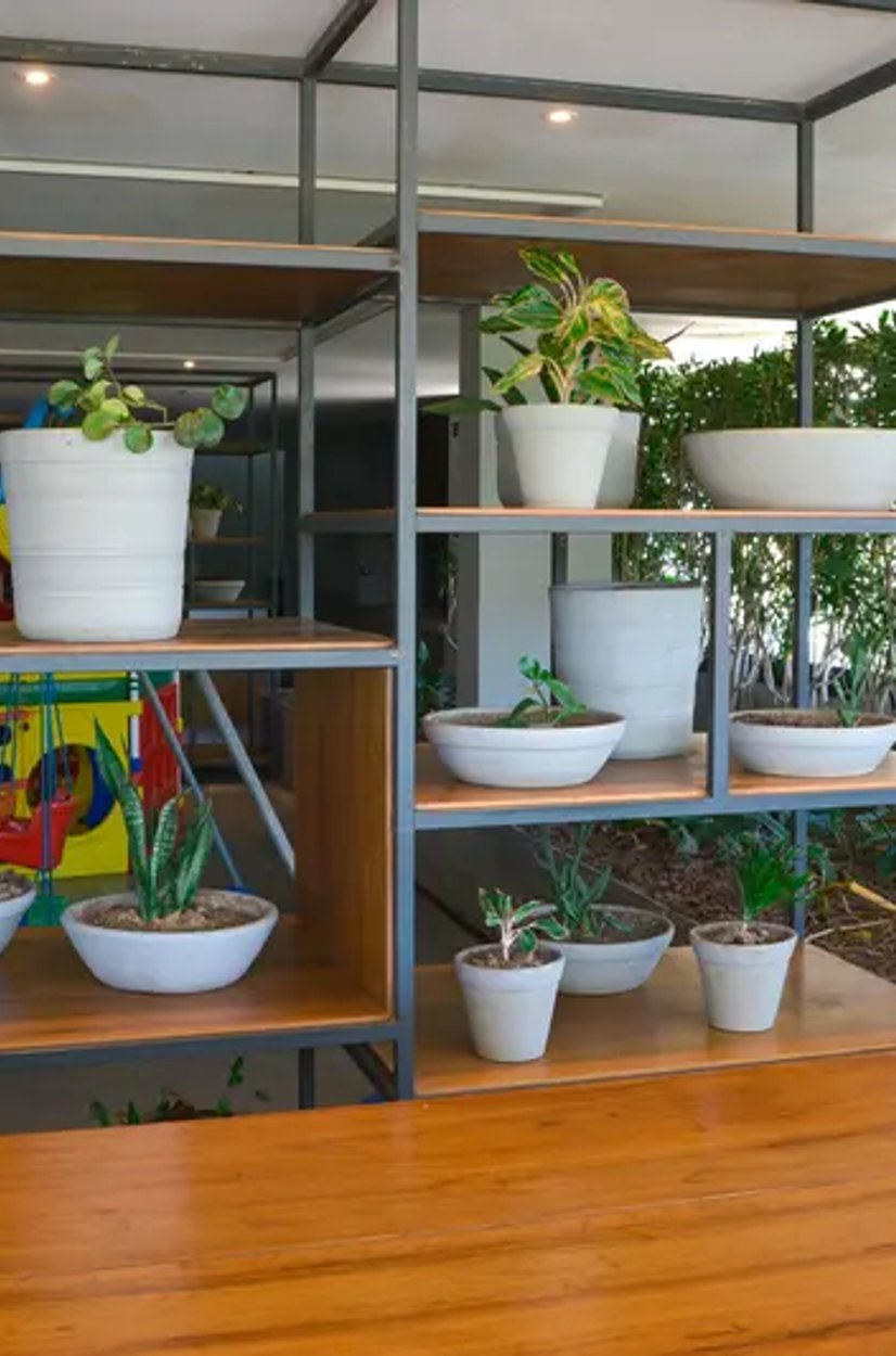 projeto de jardinagem e paisagismo