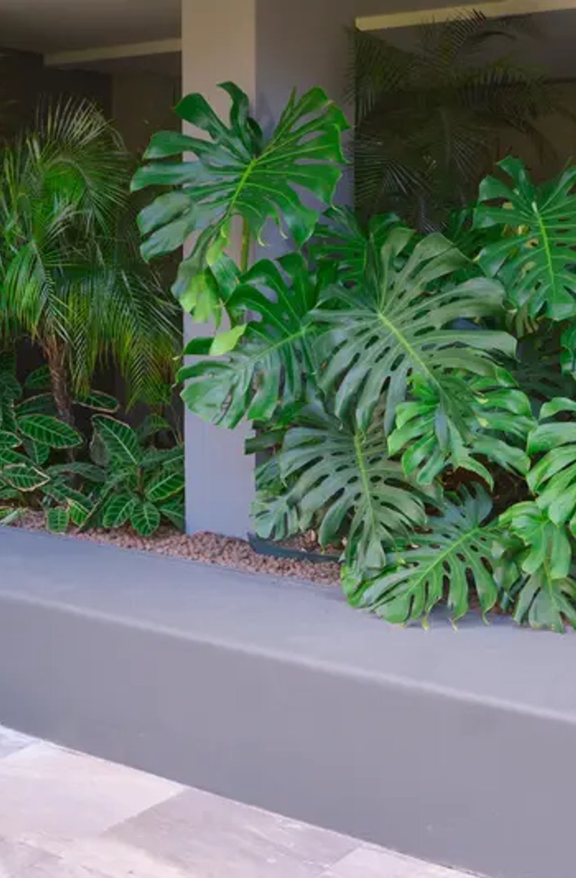 projeto de jardinagem e paisagismo