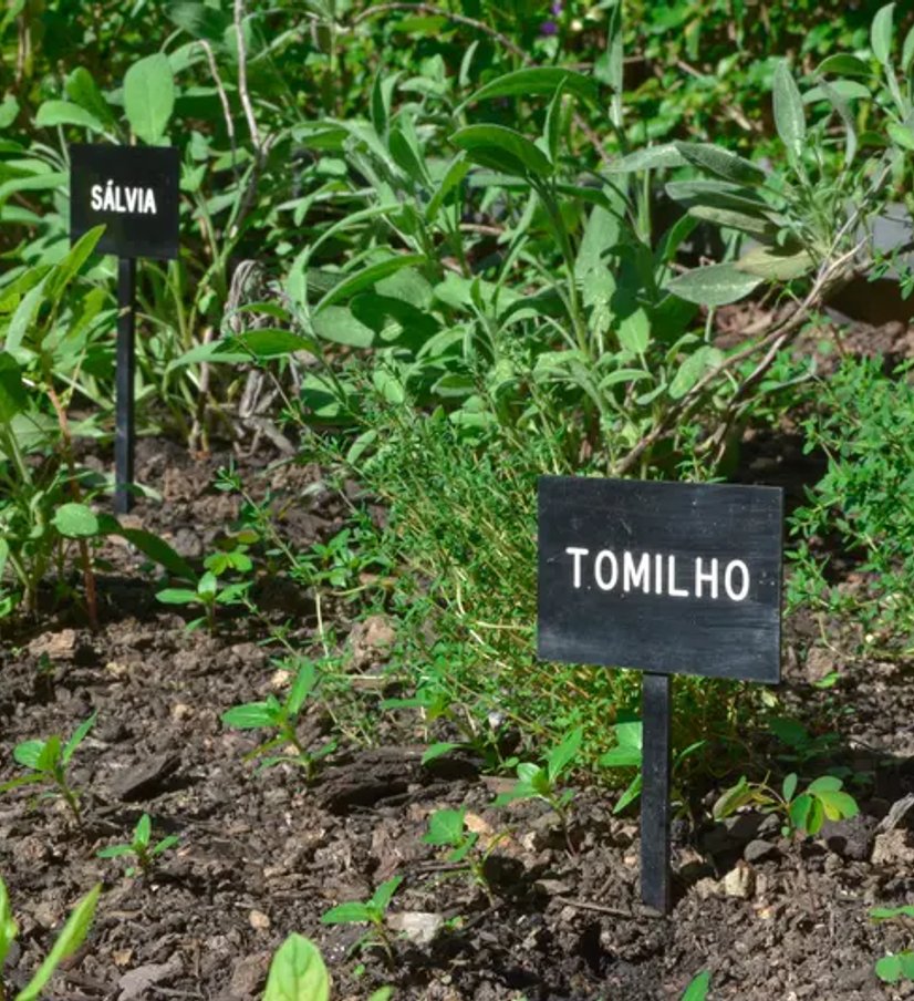 projeto de jardinagem e paisagismo