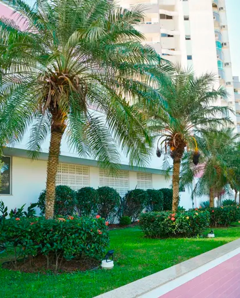 projeto de jardinagem e paisagismo